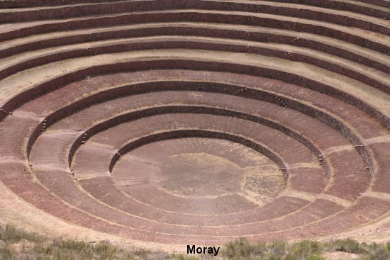 953_moray.jpg