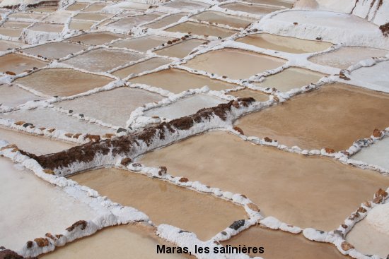 985_maras_les_salinires.jpg